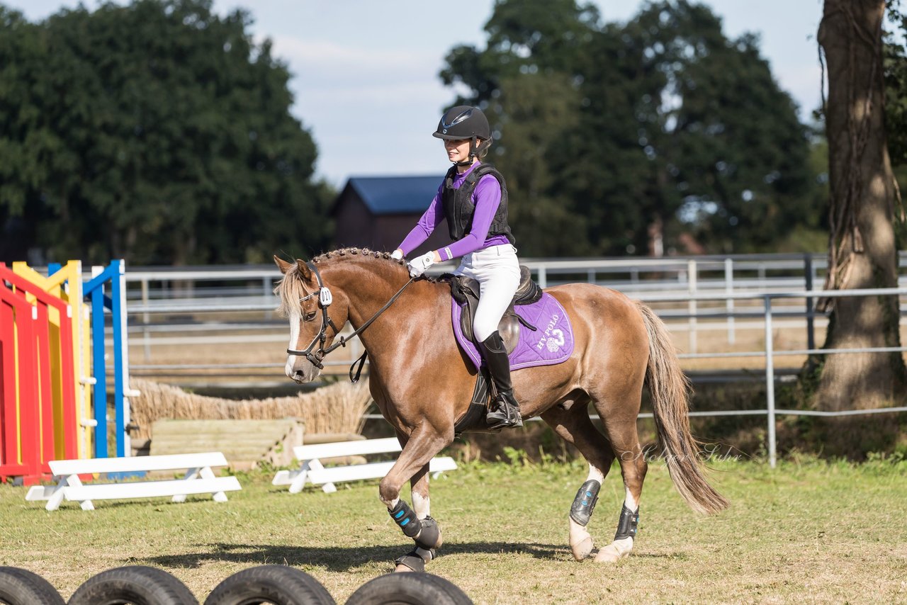 Bild 178 - Pony Akademie Turnier